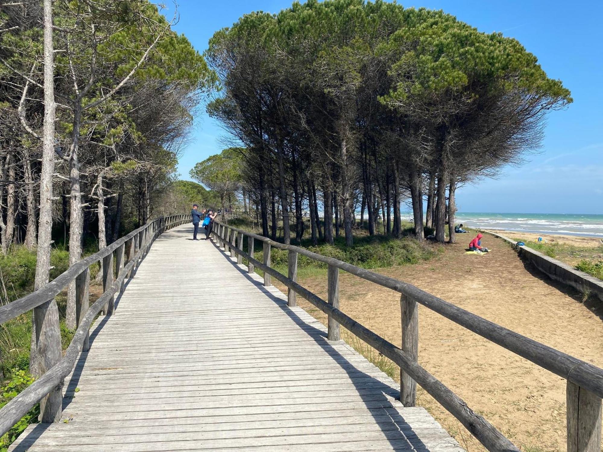 Apartment Modern Flat In A Fantastic With Pool Bibione